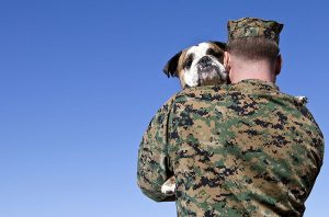 A military man hugs his English Bulldog
